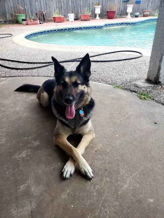 Thrive Pet Healthcare - Eldridge 12
