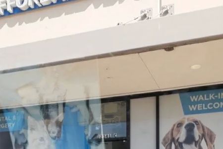 Thrive Pet Healthcare - Eldridge