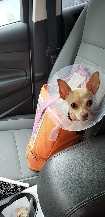 Thrive Pet Healthcare - Eldridge 12
