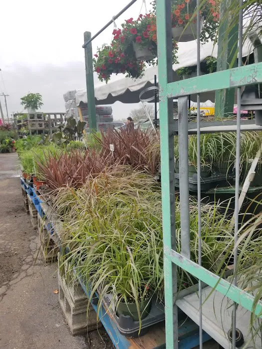 Harvest Time Farm Market 2