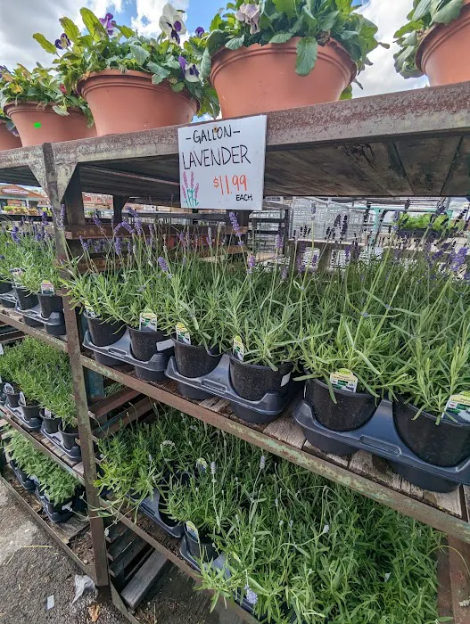 Harvest Time Farm Market 7