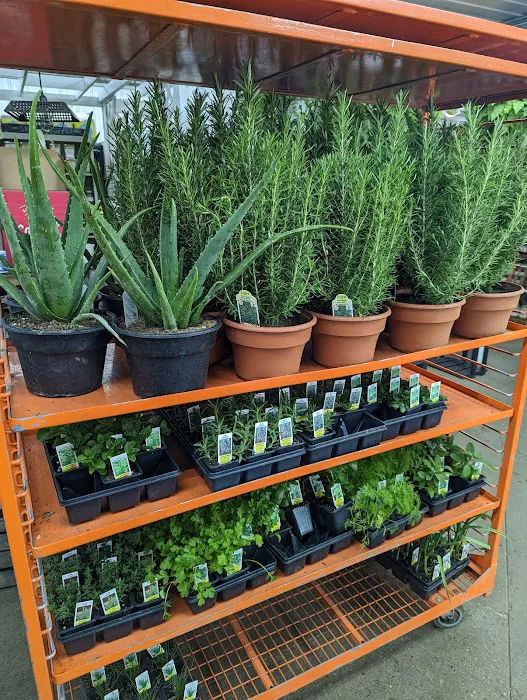 Harvest Time Farm Market 9
