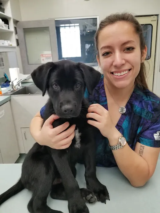Easton Commons Animal Hospital 12