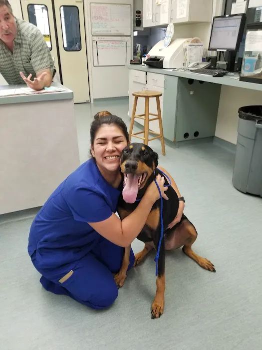 Easton Commons Animal Hospital 12