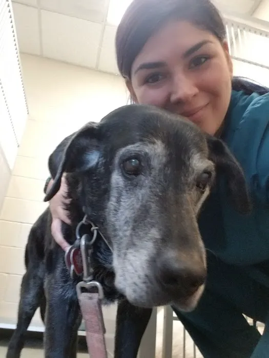 Easton Commons Animal Hospital 12