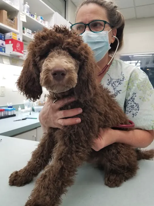 Easton Commons Animal Hospital 12