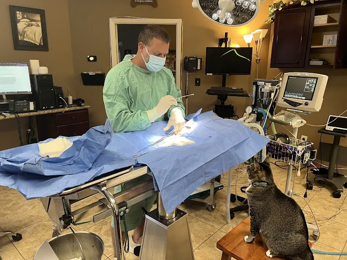 HEARTHSTONE ANIMAL CLINIC 12