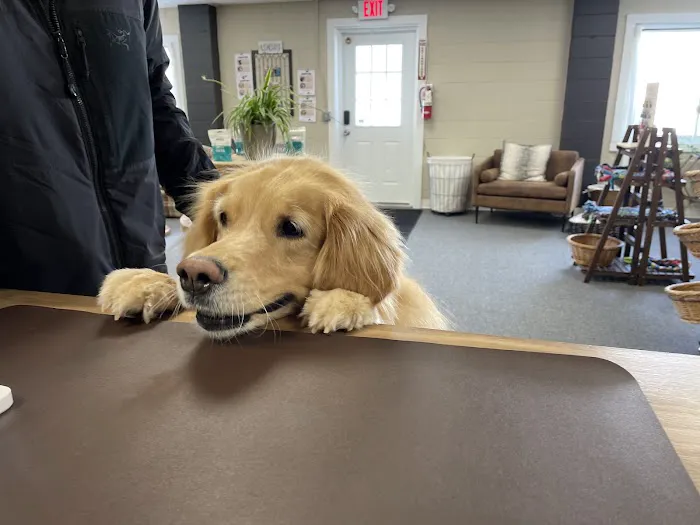 Cypress Falls Animal Hospital 12
