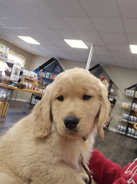 Cypress Falls Animal Hospital 12