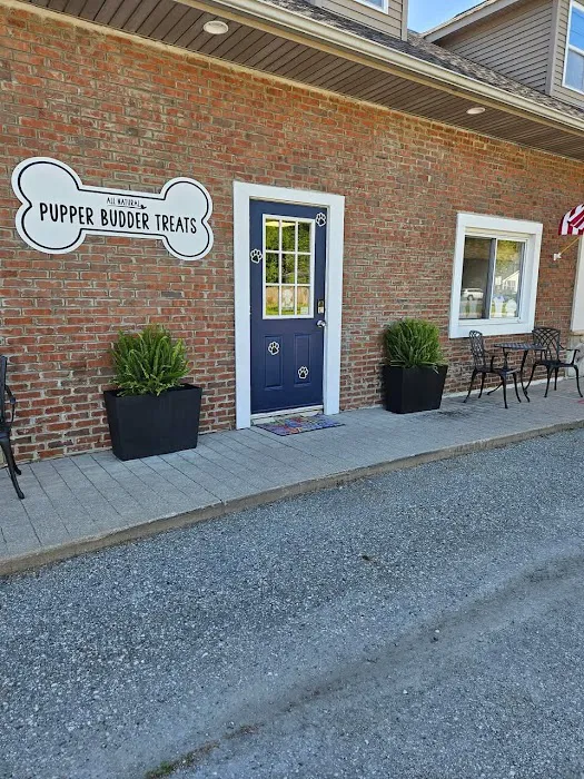 Cypress Falls Animal Hospital 12