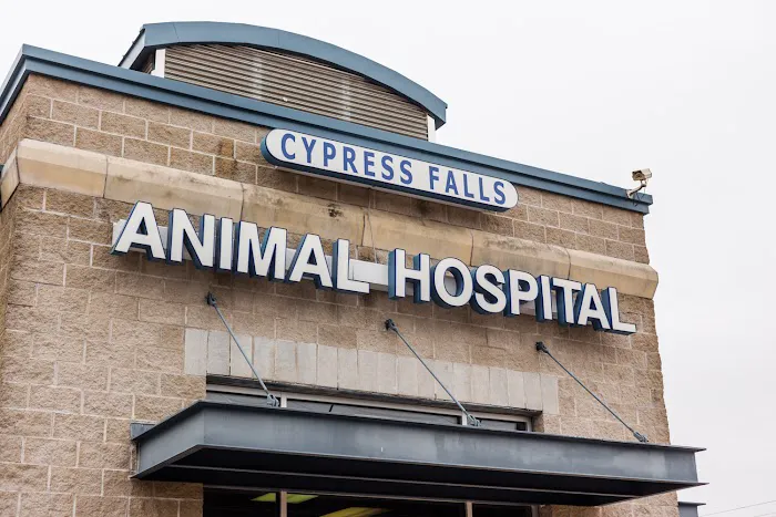 Cypress Falls Animal Hospital 12