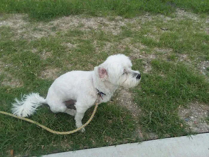Banfield Pet Hospital 12
