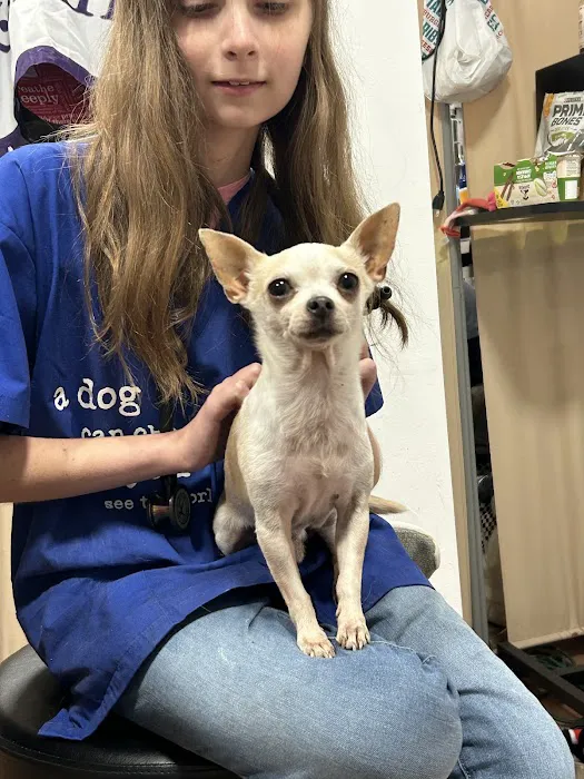 Petcare Express 12
