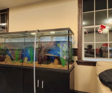 Michigan Aquatics (By appointment)