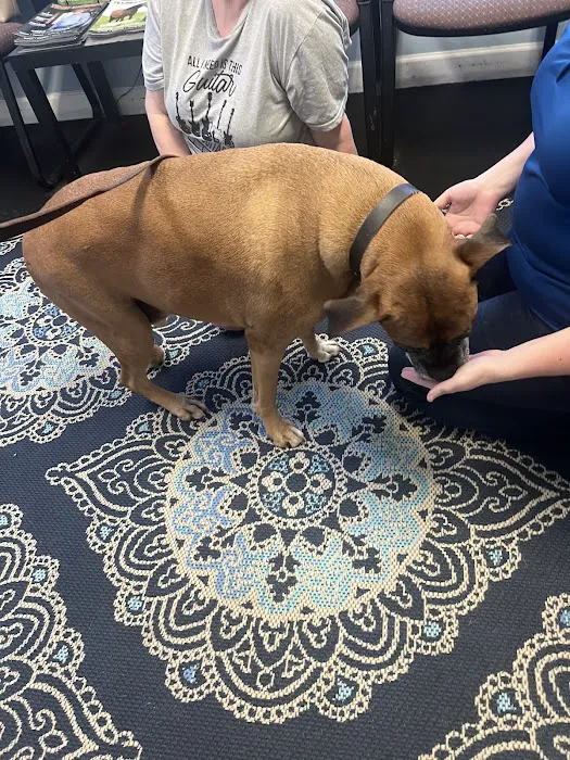 Veterinary Chiropractic and Rehabilitation Clinic 5
