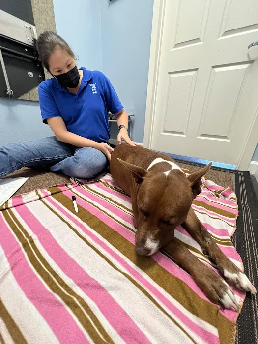 Veterinary Chiropractic and Rehabilitation Clinic 7