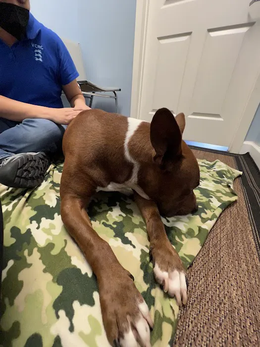 Veterinary Chiropractic and Rehabilitation Clinic 6