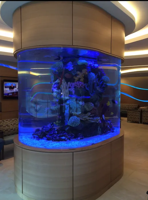 Aquarium Shine 6