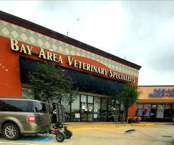 MedVet Houston Bay Area