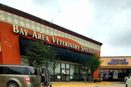 MedVet Houston Bay Area