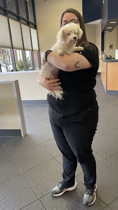 Gulf Coast Animal Eye Clinic 12