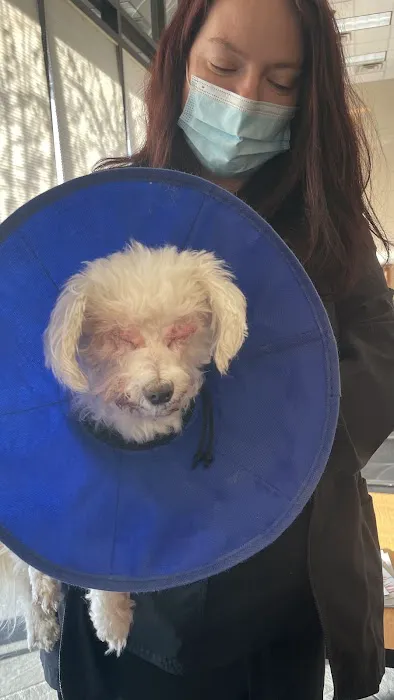 Gulf Coast Animal Eye Clinic 12
