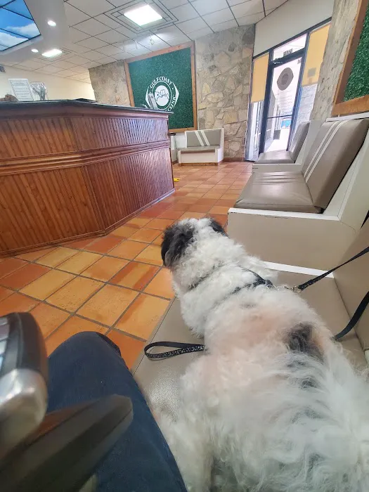 Gulf Coast Animal Eye Clinic 12