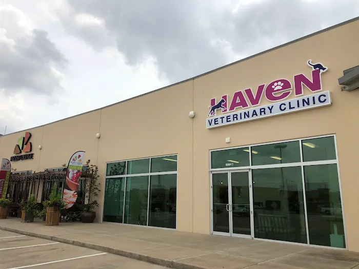Haven Veterinary Clinic 6