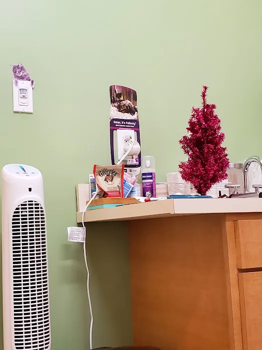 Haven Veterinary Clinic 4