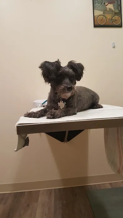 Haven Veterinary Clinic 7