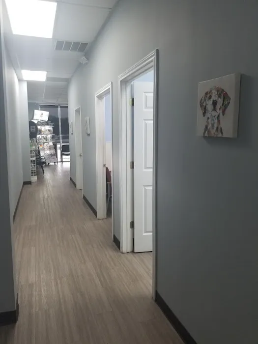 South Belt Animal Hospital 10