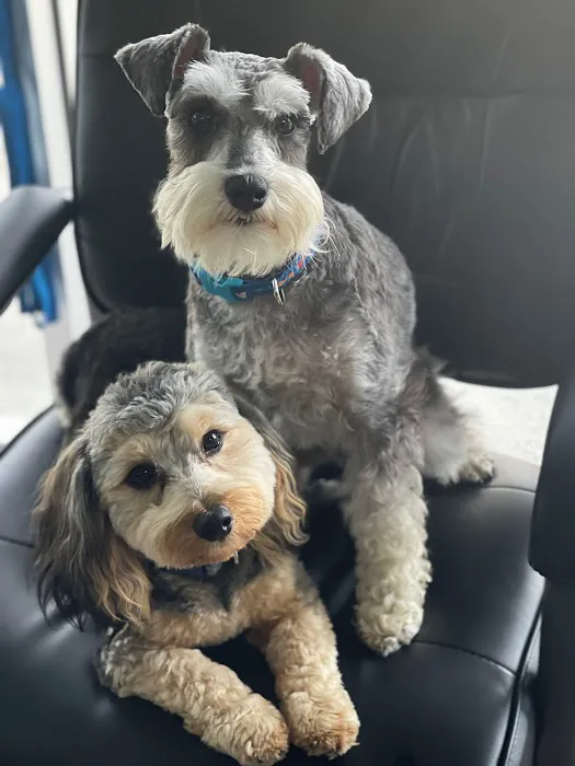 South Belt Animal Hospital 7