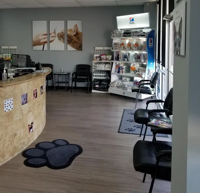 South Belt Animal Hospital 9