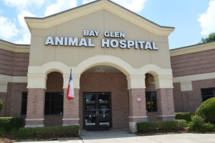 Bay Glen Animal Hospital 12