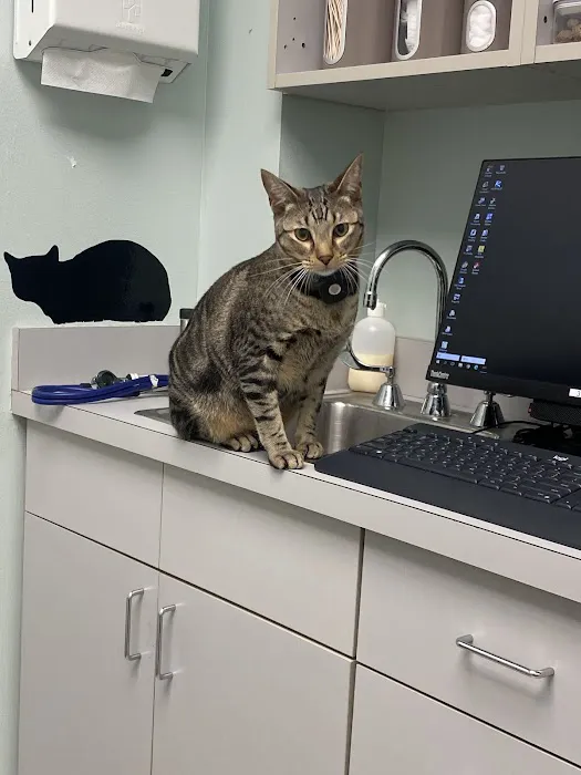 Bay Glen Animal Hospital 12