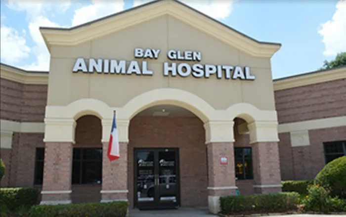 Bay Glen Animal Hospital 12