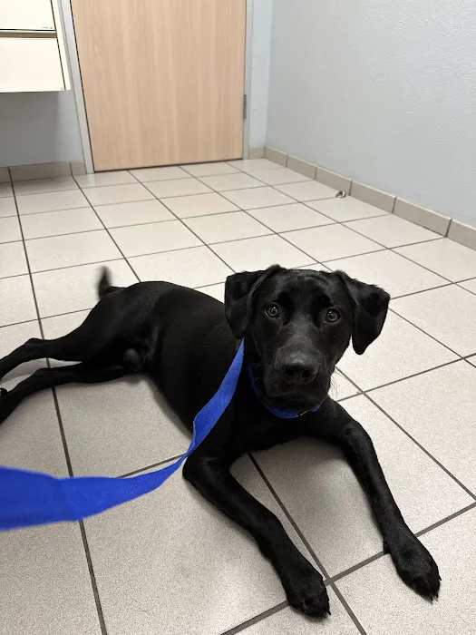 Bay Glen Animal Hospital 12