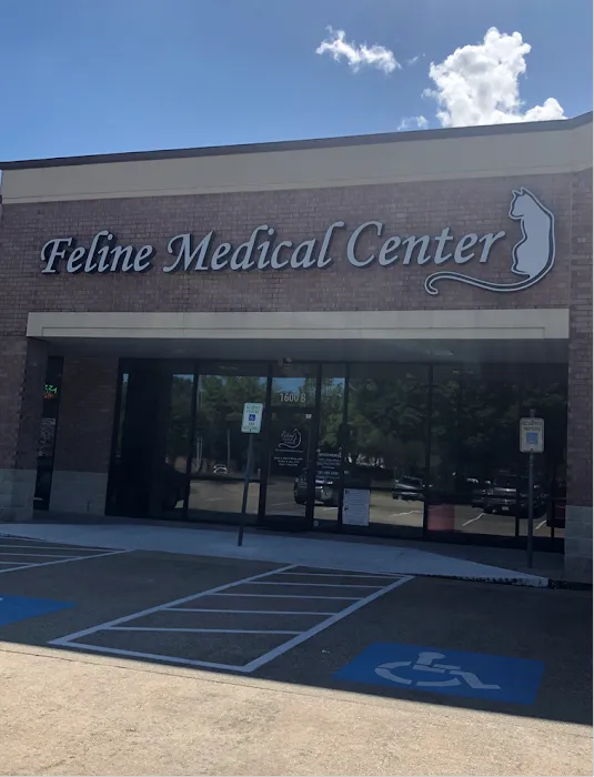 Feline Medical Center 12