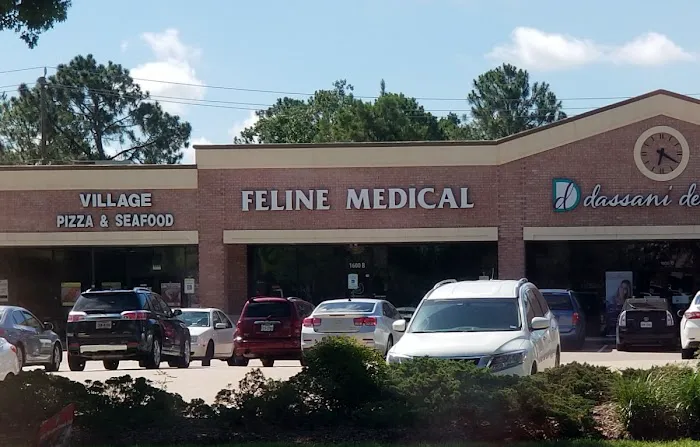 Feline Medical Center 12