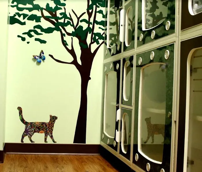 Tlc Animal Hospital: Richardson Katherine DVM 12