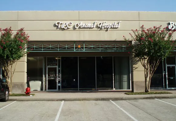 Tlc Animal Hospital: Richardson Katherine DVM 12