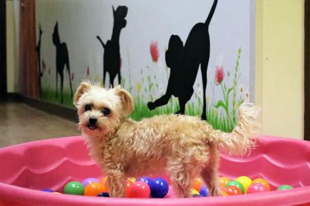 Tlc Animal Hospital: Richardson Katherine DVM