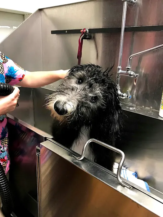 Tlc Animal Hospital: Richardson Katherine DVM 12