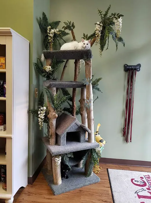 TLC Animal Hospital 12