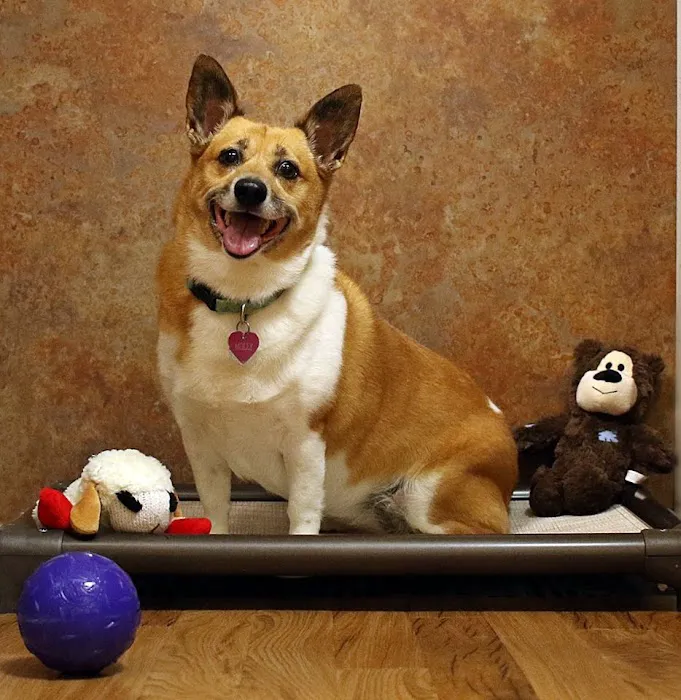 TLC Animal Hospital 12