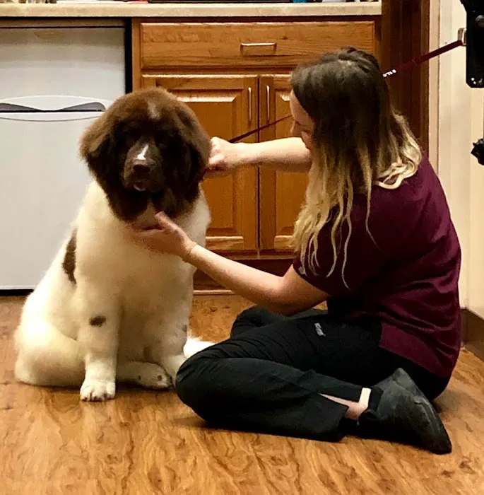 TLC Animal Hospital 12
