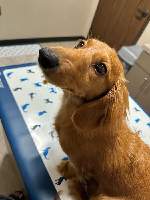 Barbers Hill Animal Hospital 12