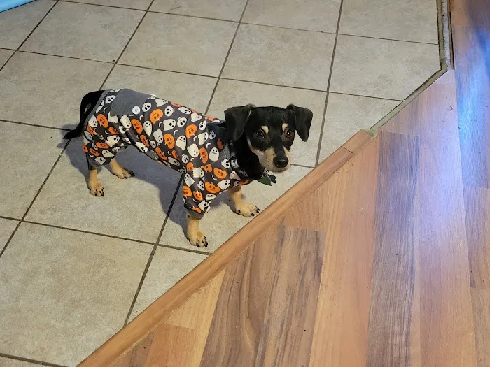 Barbers Hill Animal Hospital 12