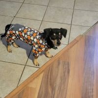 Barbers Hill Animal Hospital ico