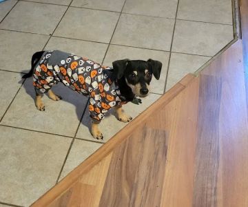 Barbers Hill Animal Hospital